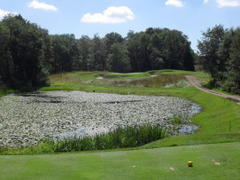 As the U.S. Open Wraps Up, the History of the First Playoff in Hamilton